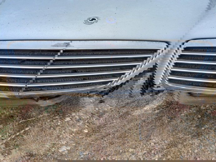 Grila capota  Mercedes C220 W203 2.2 CDI OEM 2000-2007