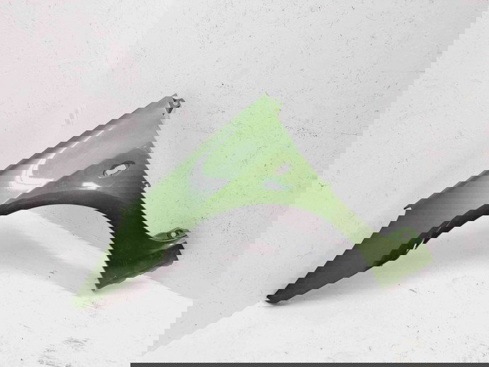 Aripa stanga fata Peugeot 307 [Fabr 2000-2008] KGA