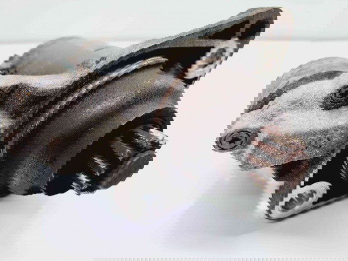  Electromotor 11 dinti Skoda Fabia 2 Combi (5J, 545) [Fabr 2007-2014] 02Z911023N 1.6 TDI CAYC 77KW / 105CP  1.6 TDI CAYC77KW / 105CP