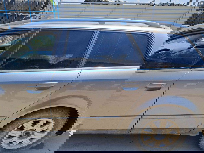 Usa stanga spate Audi A4 (8E5, B6) Avant [Fabr 2001-2004] LY7Q