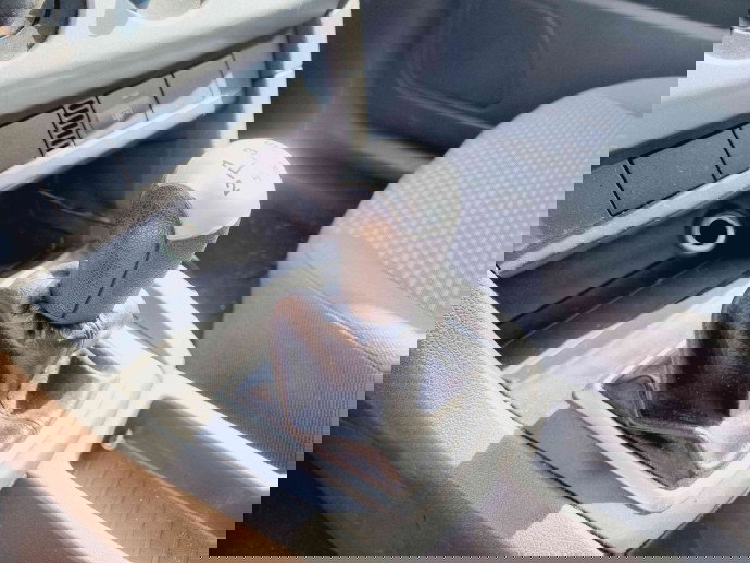 Timonerie Ford Focus 2 (DA) [Fabr 2004-2012] OEM 1.6 B C16HDEZ 74KW / 100KW 1.6 B C16HDEZ 74KW / 100KW