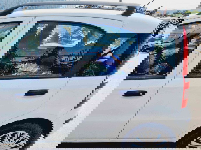 Usa stanga spate Fiat Panda (169) [Fabr 2003-2012] OEM