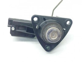 Maner haion Dacia Duster [fabr 2010-2017] OEM