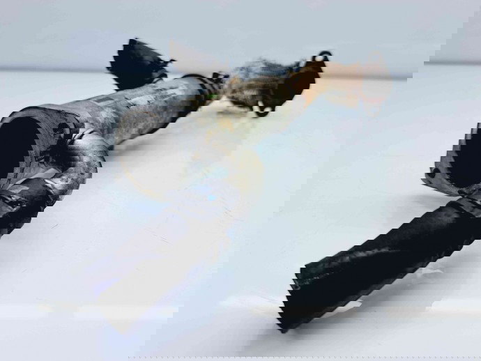 Racitor gaze Jaguar X-Type [Fabr 2001-2009] 4R8Q-9Y493-AJ 2.7 AJDV6  2.7 AJDV6 80KW / 109CP