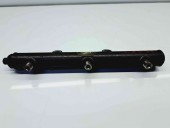 Rampa injectoare Jaguar X-Type [Fabr 2001-2009] 4R8Q-9D280-AC 2.7 AJDV6  2.7 AJDV6 80KW / 109CP