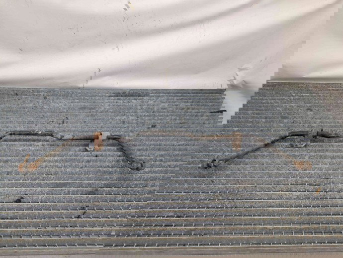 Bara stabilizatoare fata Seat Altea XL (5P5, 5P8) [Fabr 2006-2015] OEM 1.6  BSE 