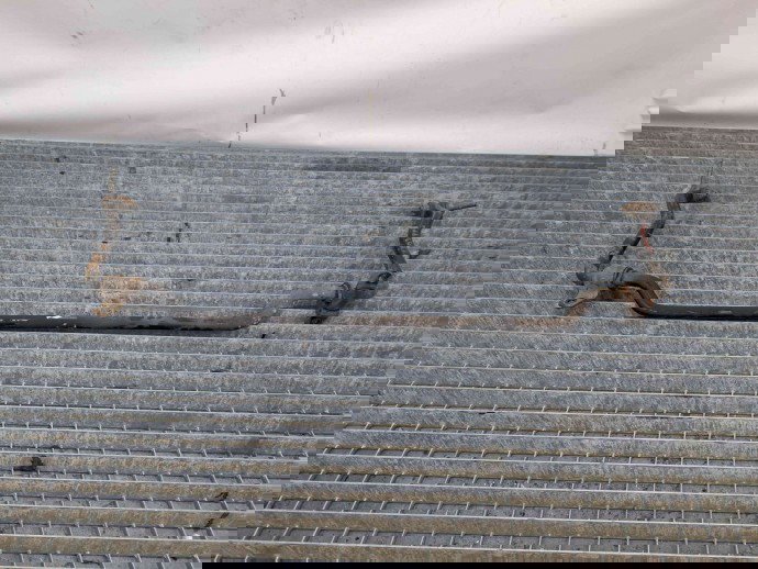 Bara stabilizatoare fata Dacia Duster [fabr 2010-2017] OEM 1.5 DCI K9K 