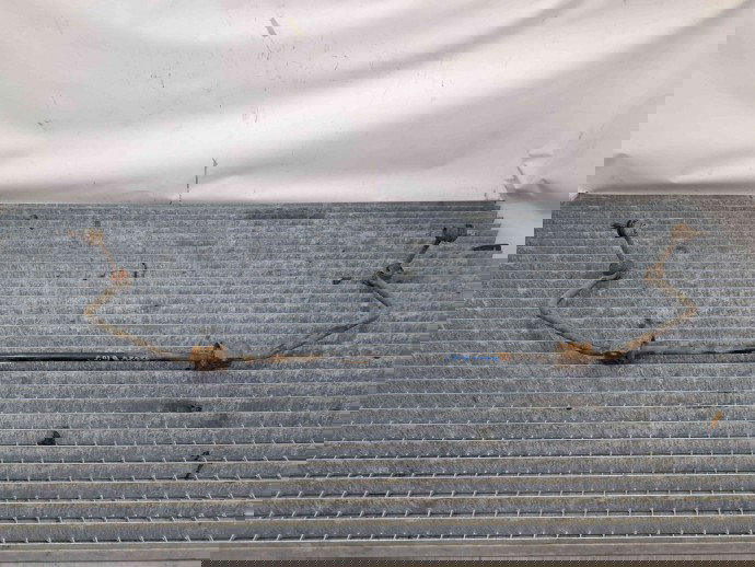 Bara stabilizatoare spate Ford Kuga I [Fabr 2008-2012] 8V41-5A772-AA 2.0 G6DG