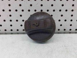 Buson rezervor Bmw 3 (E90) [Fabr 2005-2011] OEM