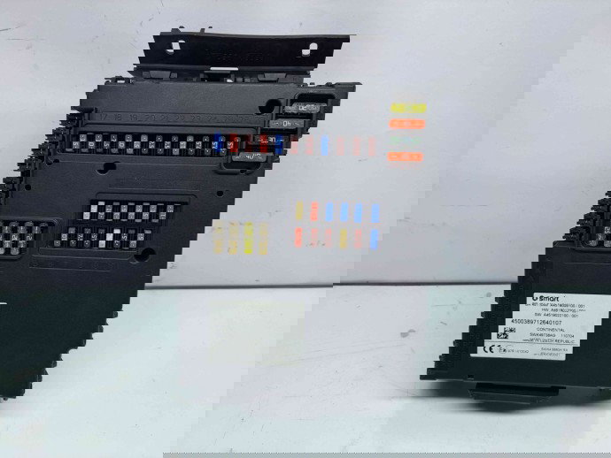  Panou sigurante SMART Fortwo Coupe (W451) [Fabr 2006-2014] A4519009100 