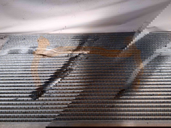 Suport motor Citroen C5 (III) [ Fabr 2008-prezent] 46328606 1.6   