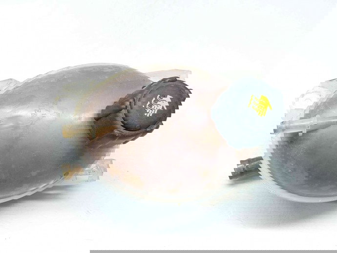 Vas expansiune Dacia Logan 2 [Fabr 2012-prezent] 217107259R