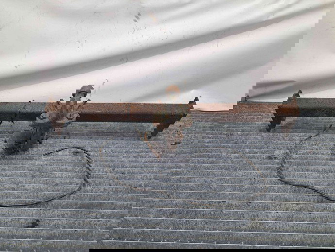 Carlig remorcare Ford Kuga I [Fabr 2008-2012] OEM