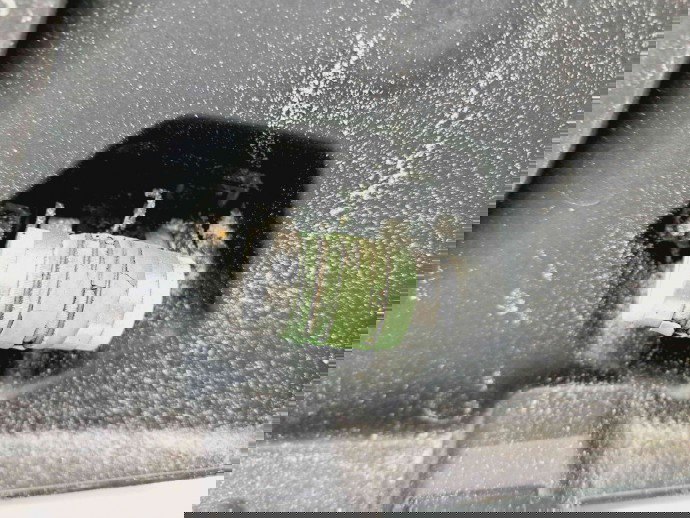 Electroventilator Kia Sportage II [Fabr 2004-2010] 25380-2EXXX 2.0  2.0 110KW / 150CP