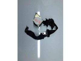  Centura stanga fata Bmw 3 (F30) [Fabr 2012-2017] 7243307