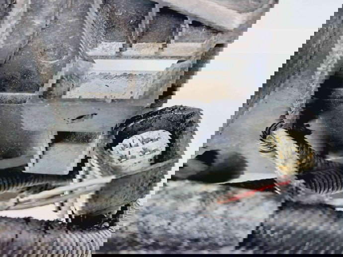 Electroventilator Jaguar X-Type [Fabr 2001-2009] 6R8319E839AA 2.7 AJDV6  2.7 AJDV6 80KW / 109CP