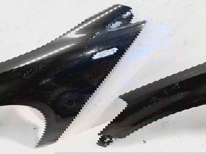 Aripa stanga fata Volkswagen Polo (9N) [Fabr 2001-2008] L041