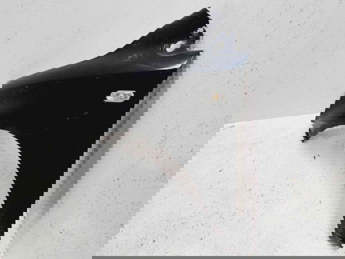 Aripa stanga fata Volkswagen Polo (9N) [Fabr 2001-2008] L041