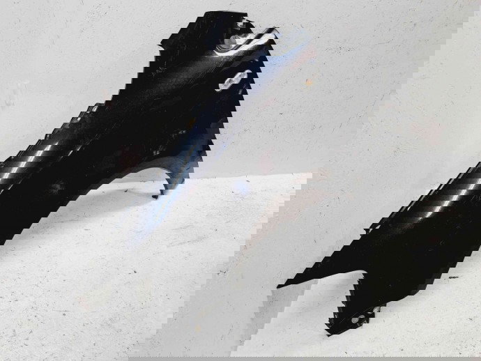 Aripa stanga fata Volkswagen Polo (9N) [Fabr 2001-2008] L041