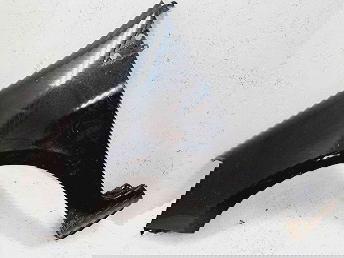 Aripa stanga fata Renault Clio 3 [Fabr 2005-2012] NV676