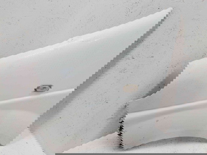 Aripa stanga fata Renault Trafic 2 [Fabr 2001-2012] OEM