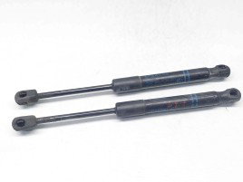Set amortizor capota Bmw 3 (F30) [Fabr 2012-2017] 7255812