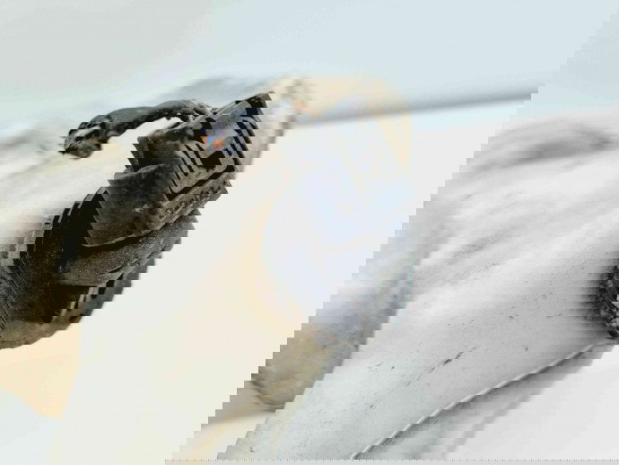  Vas lichid parbriz MINI Cooper (R56) [Fabr 2006-2014] 7157124