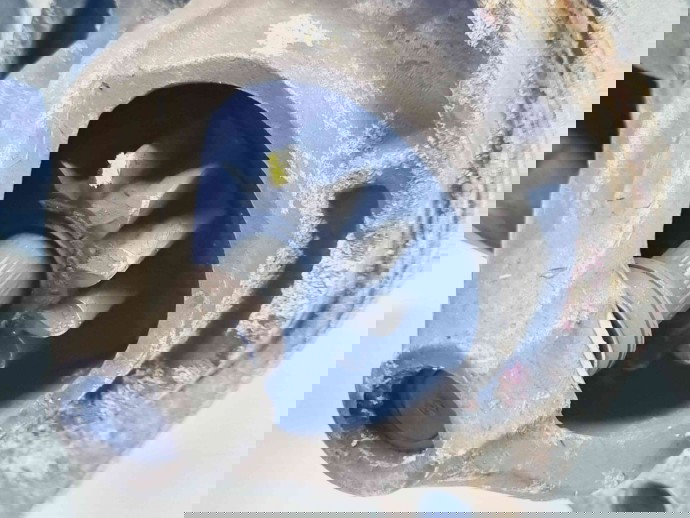  Electromotor 11 dinti Ford Focus 3 Hatchback [Fabr 2011-2015] CV6T-11000-GC 1.0 Benz M2DA   1.0 Benz M2DA54KW / 73CP