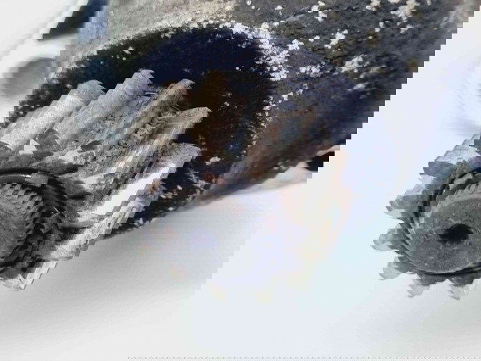  Electromotor 13 dinti Audi A3 Sportback (8VA) Hatchback [Fabr 2012-2020] 02M911024S 2.0 TDI CRBC 110KW / 150CP  2.0 TDI CRBC110KW / 150CP