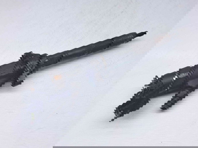 Injector Citroen C5 (III) [ Fabr 2008-prezent] 920029 1.6  80KW / 109CP  