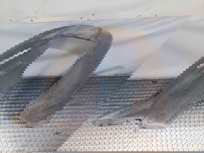 Carenaj roata dreapta fata Seat Leon (1P1) [Fabr 2005-2011] 809958