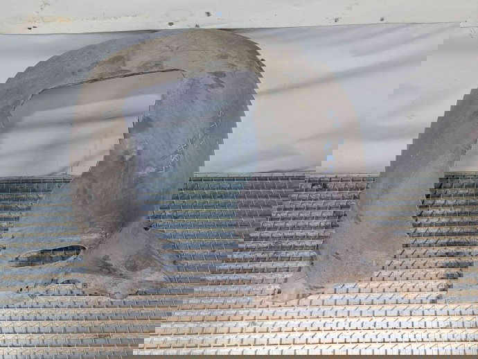 Carenaj roata stanga fata Seat Leon (1P1) [Fabr 2005-2011] 809957