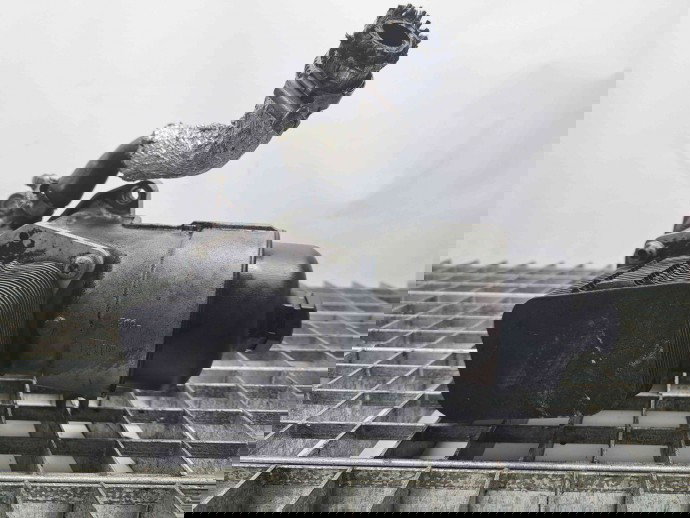 Termoflot Peugeot 307 Break [Fabr 2002-2008] OEM 1.6 9HZ   