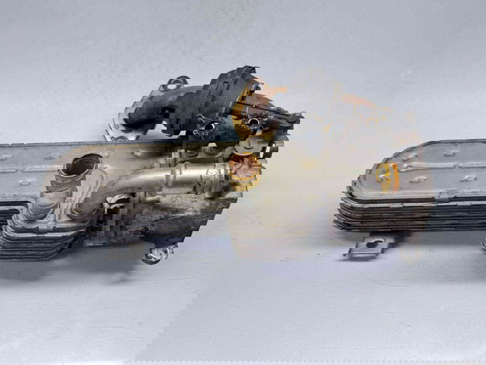 Racitor gaze Seat Leon (1P1) [Fabr 2005-2011] 03G131513J 2.0 TDI BKD   