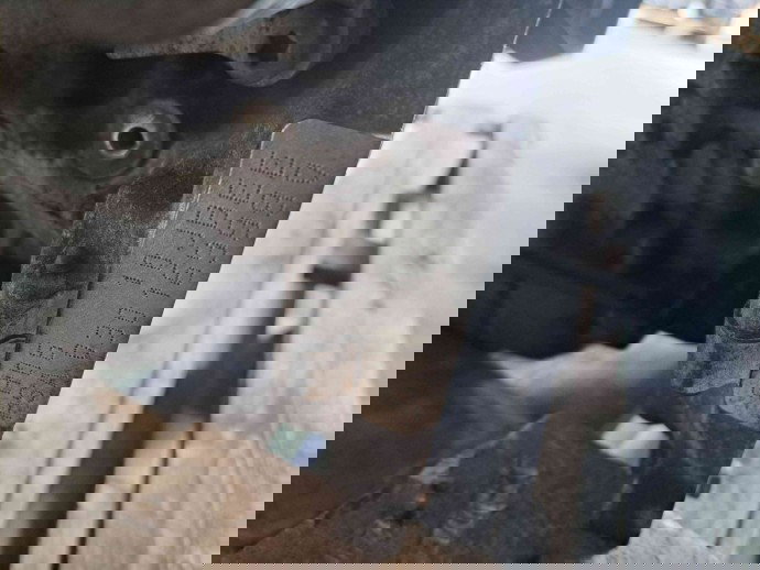 Motor complet ambielat Peugeot 308 [Fabr 2007-2013] 9H06 1.6 HDI DV6D 68KW / 92CP  