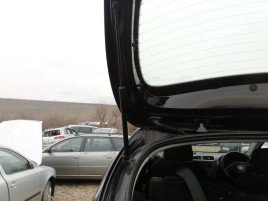 Amortizor stanga haion Seat Leon 2.0 BKD LC9Z 2005-2011