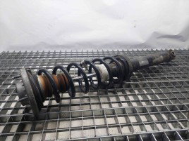 Amortizor stanga spate Bmw 5 (F10) [Fabr 2011-2016] OEM 2.0 N47T   