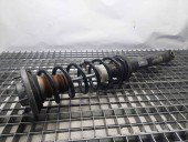 Amortizor stanga spate Bmw 5 (F10) [Fabr 2011-2016] OEM 2.0 N47T   