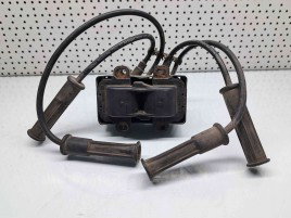 Bobina inductie Dacia Logan (LS) [Fabr 2004-2012] 7700274008    