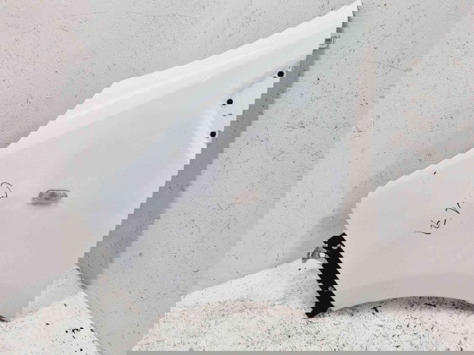 Aripa stanga fata Renault Trafic 3 (F82) [Fabr 2014-2022] OV369