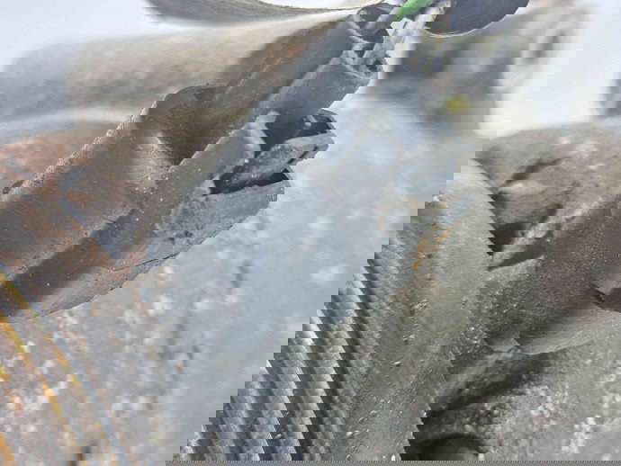 Compresor clima Ford Focus 3 (CB8) [Fabr 2011-2015] AP31-19D629-BA 1.6 TDCI DV6 85KW / 115CP  