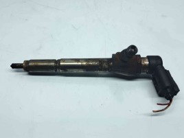 Injector Nissan Qashqai [Fabr 2007-2014] 166009445R 1.5 DCI K9K   