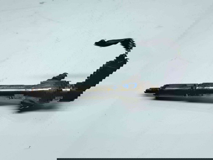 Injector Nissan Qashqai [Fabr 2007-2014] 166009445R 1.5 DCI K9K   