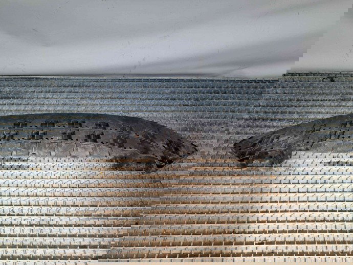 Scut sub bara Skoda Superb II (3T4) [Fabr 2008-2015] OEM