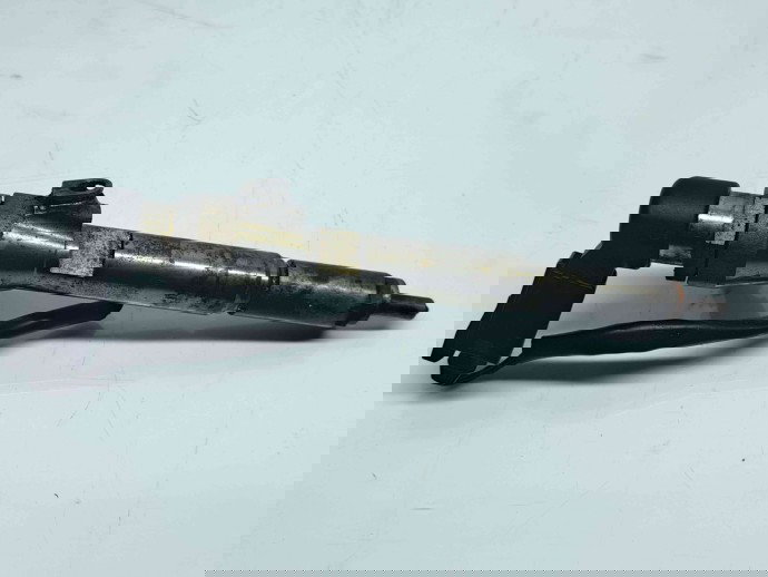 Injector Nissan Qashqai [Fabr 2007-2014] 166009445R 1.5 DCI K9K   