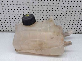 Vas expansiune Renault Megane 3 Coupe [Fabr 2010-2015] 217100005R