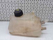 Vas expansiune Renault Megane 3 Coupe [Fabr 2010-2015] 217100005R