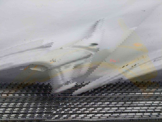  Vas lichid parbriz Ford Focus 1 [Fabr 1998-2005] XS41-17618