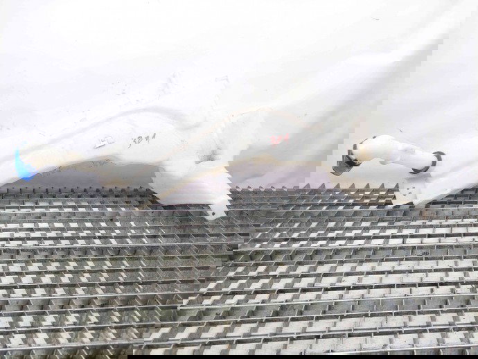  Vas lichid parbriz Ford Kuga I [Fabr 2008-2012] 3M51-13K163