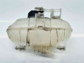 Vas expansiune Renault Trafic 3 (F82) [Fabr 2014-2022] 217101893R